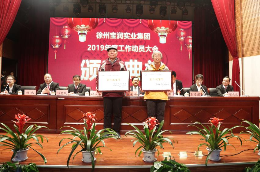星空xingkong(中国)2019年度工作动员大会---集团公司领导为先进单位和先进个人代表颁奖